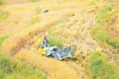 宁德山区农业机械化使用取得实效 工致农机“慧